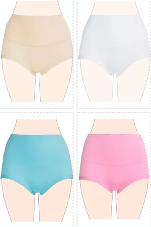 Merkloos Hoge Taille Katoenen Slip Voordeelpak 10-pack 6002 S/M
