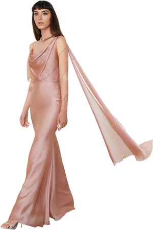 Trendyol Roze Carmen Kraag Geweven Chiffon Lange Elegante Avondjurk Tprss24Ae00137