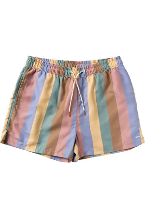 Salted Stories Multi Stripe | Swim Shorts Men