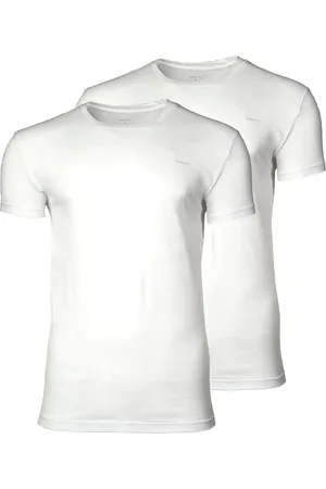 GANT T-shirt C-NECK T-SHIRT 2-PACK Set van 2