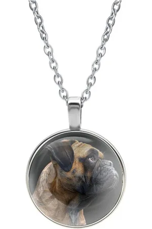 MC Ketting Glas | Close-up | Bullmastiff