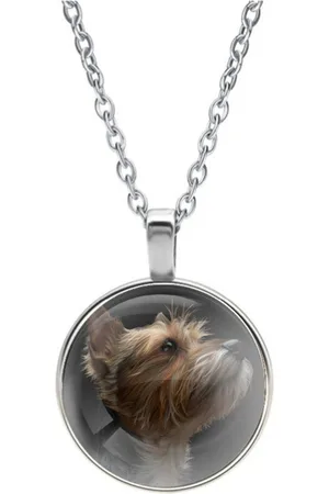 MC Ketting Glas | Close-up | Yorkshire Terrier