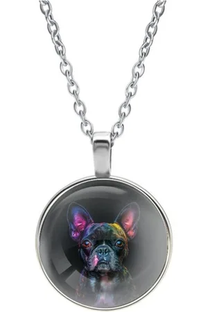 MC Ketting Glas | Close up | Regenboog | Boston Terrier