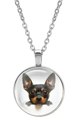 MC Ketting Glas | Fox Toy Terrier