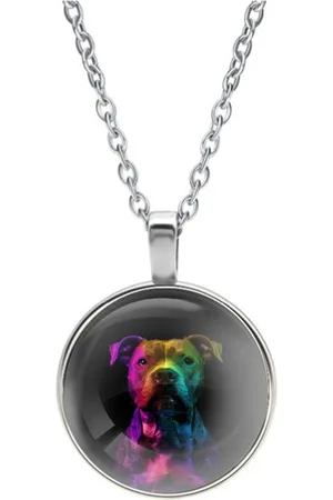 MC Ketting Glas | Close up | Regenboog | Pitbull