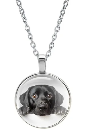 MC Ketting Glas | Labrador