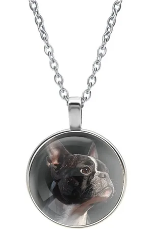 MC Ketting Glas | Close-up | Boston Terrier