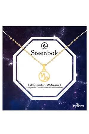 Bixorp Stars Sterrenbeeld Ketting - Stainless Steel Rondje met Goud Verguld - 45cm Ketting met Zodiac Hanger - Inclusief Cadeau Verpakking
