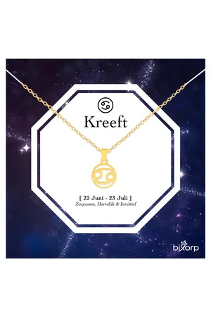 Bixorp Stars Sterrenbeeld Ketting - Stainless Steel Rondje met Goud Verguld - 45cm Ketting met Zodiac Hanger - Inclusief Cadeau Verpakking