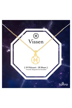 Bixorp Stars Sterrenbeeld Ketting - Stainless Steel Rondje met Goud Verguld - 45cm Ketting met Zodiac Hanger - Inclusief Cadeau Verpakking
