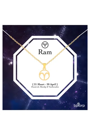 Bixorp Stars Sterrenbeeld Ketting - Stainless Steel Rondje met Goud Verguld - 45cm Ketting met Zodiac Hanger - Inclusief Cadeau Verpakking