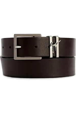 Giuseppe Zanotti Teodore riem