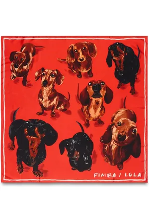 Bimba y Lola Sjaal met hondenprint