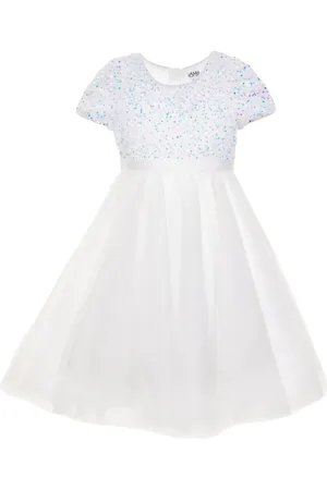 IAME Mini