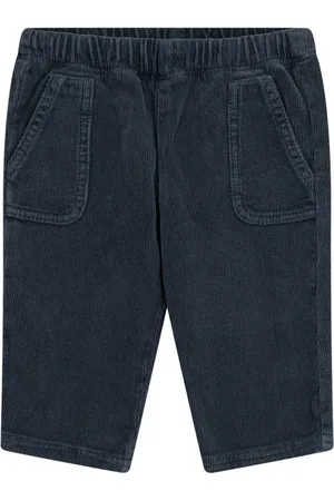 Etro Pegaso fluwelen broek