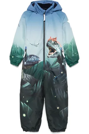 Molo Polar skipak
