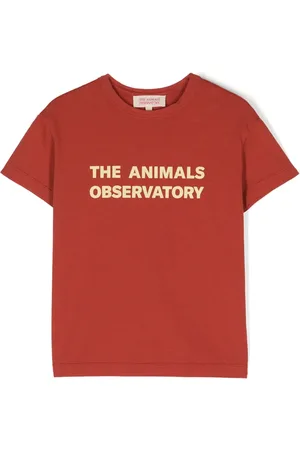 The Animals Observatory Katoenen T