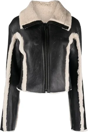 Diesel L