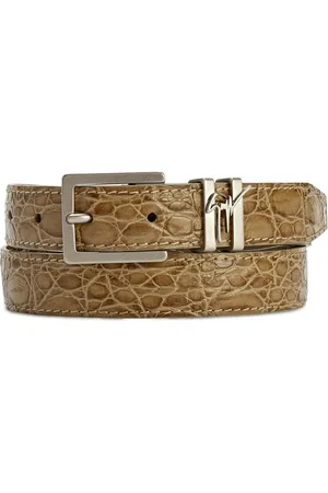 Giuseppe Zanotti Teodore riem