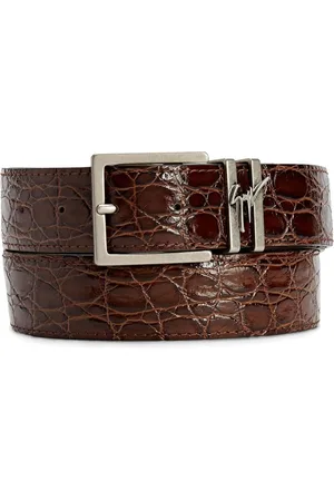 Giuseppe Zanotti Teodore riem