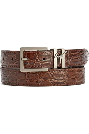 Giuseppe Zanotti Teodore riem