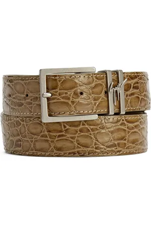 Giuseppe Zanotti Teodore riem