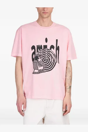 AMISH Graphic