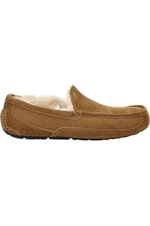 UGG Slippers & Mules - Ascot Chestnut in