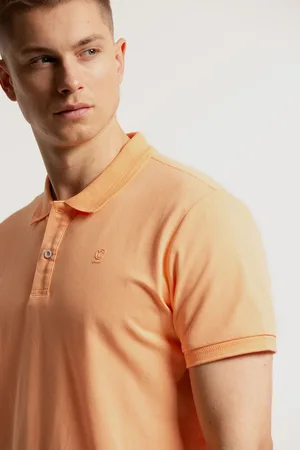 Chief Studio Polo