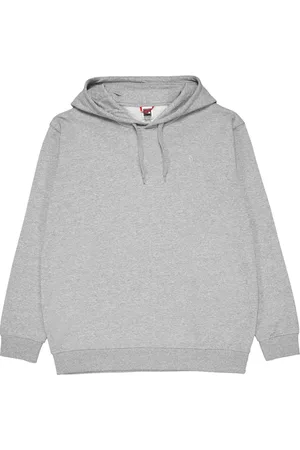 The North Face Oversized Hoody Grijs