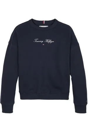 Tommy Hilfiger Sweater blauw Trui Logo