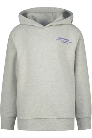 Raizzed Hoodie grijs melange Sweater Backprint