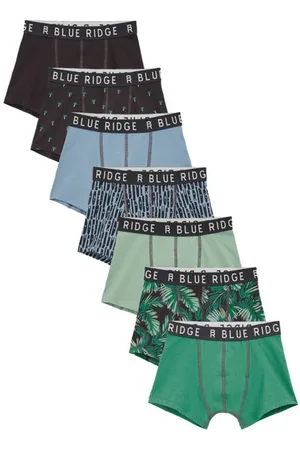 WE Fashion Blue Ridge boxershort