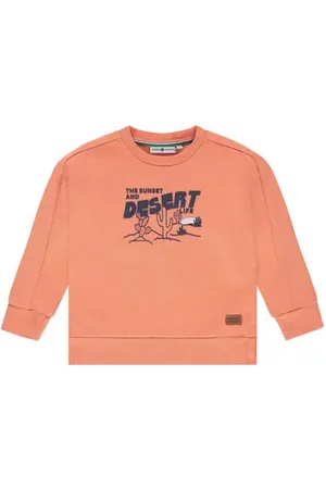 Stains&Stories Sweater Trui Jongens Katoen Ronde hals Printopdruk