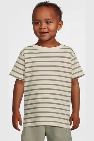 LEVV Little T