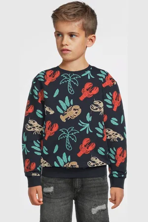 NAME IT MINI sweater donkerblauw Effen