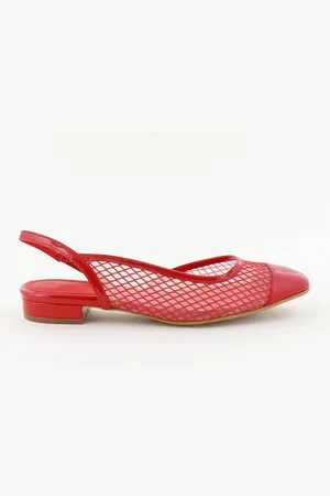 Toral Ballerina