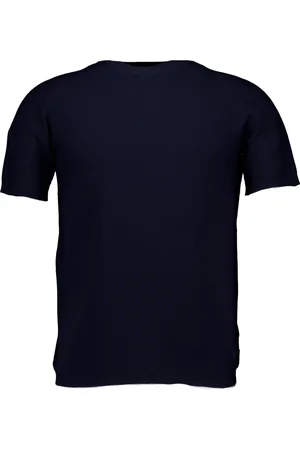 AlphaTauri Heren, Tops, Blauw, Maat: L