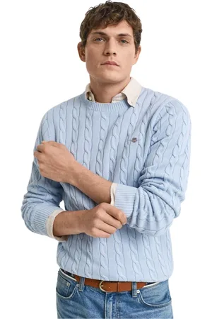 GANT Heren, Truien, Blauw, Maat: L Katoen