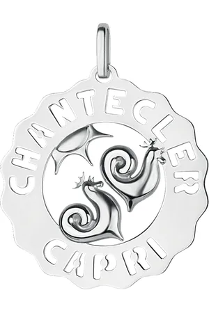 CHANTECLER Dames, Accessoires, Grijs, Maat: ONE Size