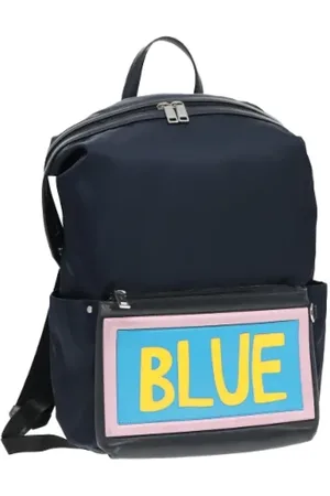 Fendi Dames, Pre-owned, Blauw, Maat: ONE Size Nylon