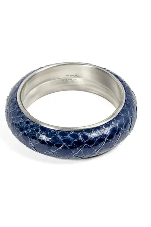 Bottega Veneta Dames, Accessoires, Blauw, Maat: ONE Size Leer