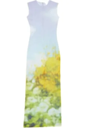 Acne Studios Dames, Jurken, Veelkleurig, Maat: S