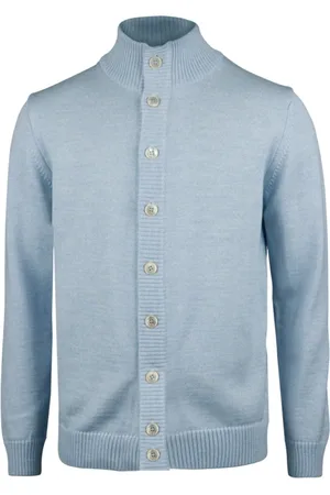 Stenströms Heren, Truien, Blauw, Maat: L Wol
