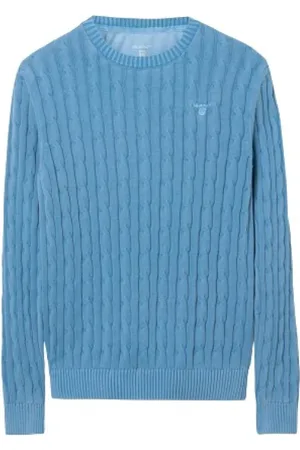 GANT Heren, Truien, Blauw, Maat: L Katoen