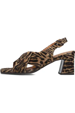 Billi Bi Dames, Schoenen, Bruin, Maat: 41 EU