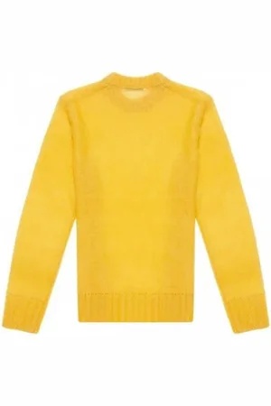 Acne Studios Dames, Truien, Geel, Maat: L Mohair