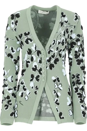 Lanvin Dames, Truien, Groen, Maat: M Viscose
