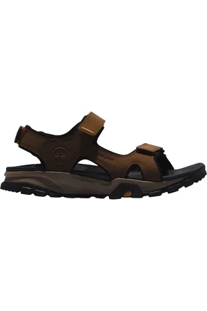 Timberland Heren, Schoenen, Bruin, Maat: 40 EU