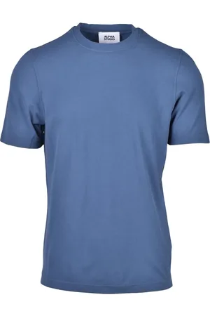 ALPHA STUDIO Heren, Tops, Blauw, Maat: M